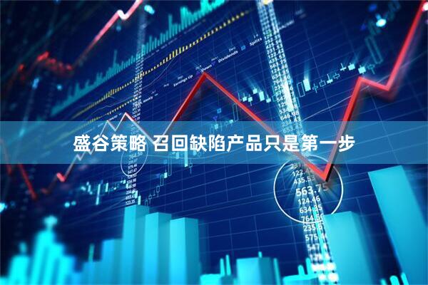 盛谷策略 召回缺陷产品只是第一步